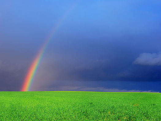 Green field and rainbow - Landscape