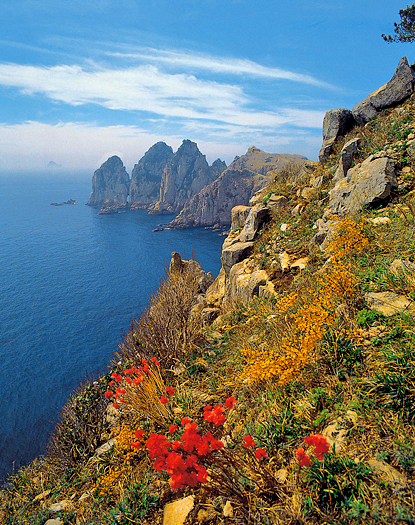 Rockyt shore line with yellow and red flowers on a hillside