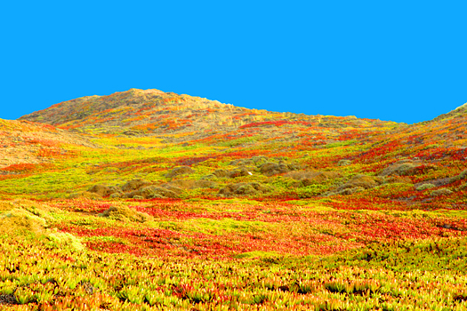 Colorful hills of yellow and red against brilliant blue sky