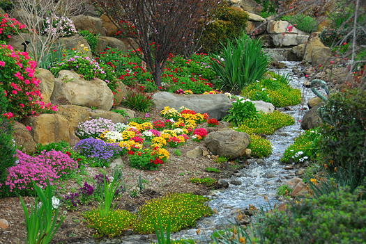 A stream through a rock garden of colorful flowers
