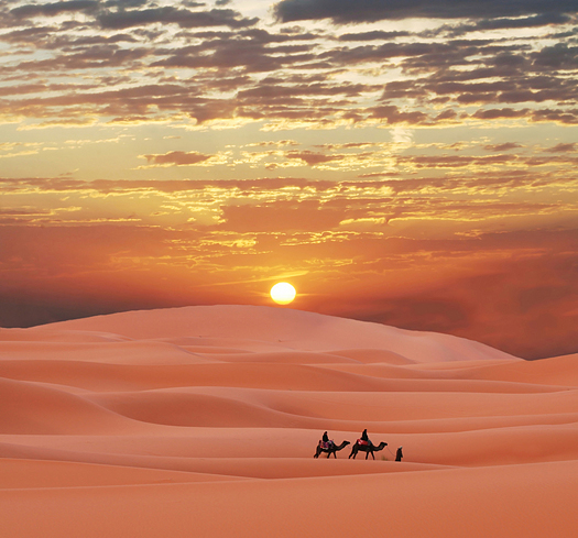 Caravan in Sahara desert. Pink sand, sunset sky