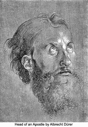 Head of an Apostle by Albrecht Dürer