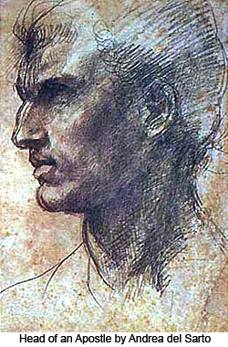 Head of an Apostle by Andrea del Sarto