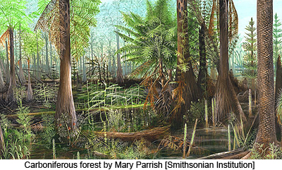Carboniferous forest by Mary Parrish [Smithsonian Institution]
