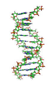 /wp-content/uploads/site_images/DNA_orbit_animated_small.gif