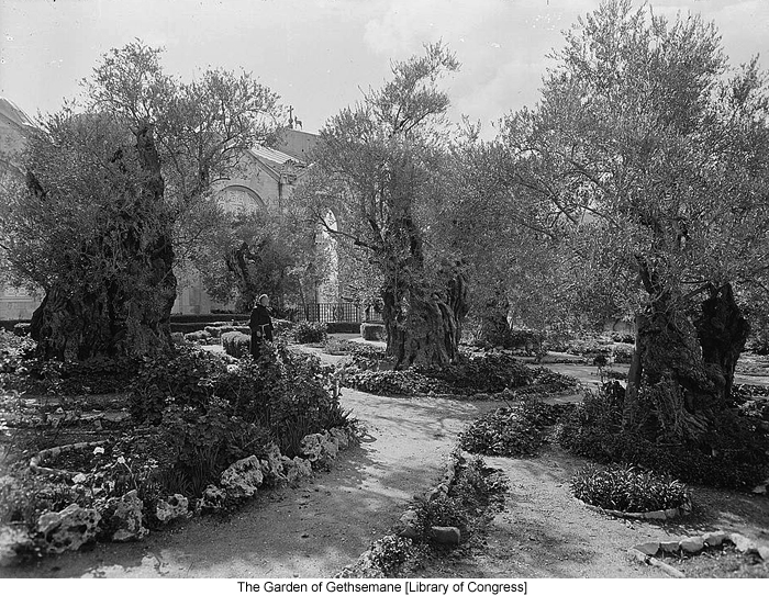 /wp-content/uploads/site_images/Garden_of_Gethsemane_Library_of_Congress_700.jpg