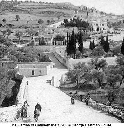 The Garden of Gethsemane, 1898 photograph