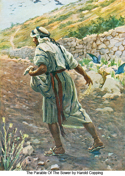 The Parable Of The Sower by Harold Copping