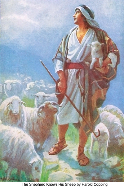 The Shephered Knows His Sheep by Harold 
Copping