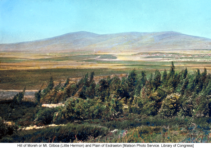 /wp-content/uploads/site_images/Hill_of_Moreh_or_Mt_Gilboa_Matson_Photo_Service_Library_of_Congress_700.jpg