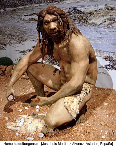 Homo heidelbergensis - [Jose Luis Martinez Alvarez from Asturias, España]