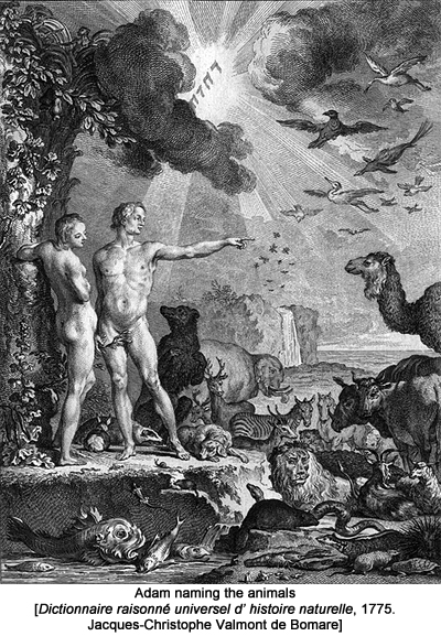 Adam naming the animals. Dictionnaire raisonné universel d’ histoire naturelle, 1775. Jacques-Christophe Valmont de Bomare