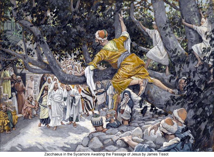 /wp-content/uploads/site_images/James_Tissot_Zacchaeus_in_the_Sycamore_Awaiting_the_Passage_of_Jesus_700.jpg