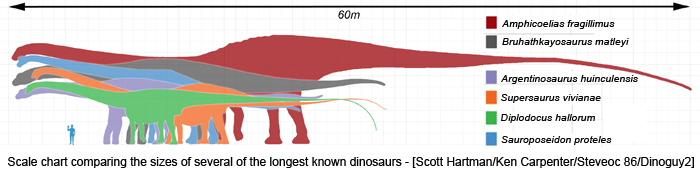 Scale chart comparing the sizes of several of the longest known dinosaurs - [Scott Hartman/Ken Carpenter/Steveoc 86/Dinoguy2]