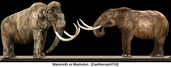 Mammoth vs Mastodon - [Dantheman9758]