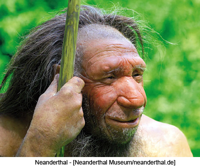 Neanderthal - [Neanderthal 
Museum/neanderthal.de]