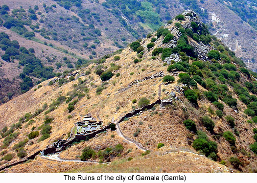 Ruins of the city of Gamala (Gamla), photograph