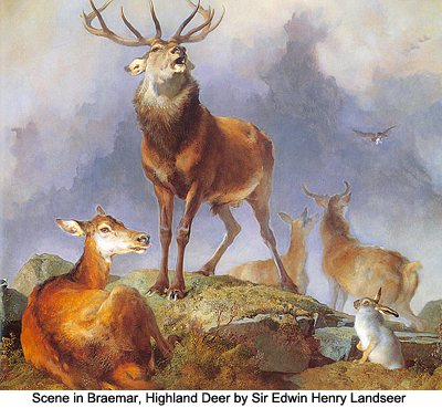 Scene in Braemar, Highland Deer by Sir Edwin Henry Landseer