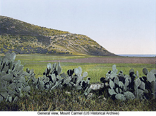 General view, Mount Carmel, photograph