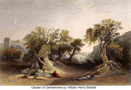 Garden of Gethsemane by William Henry Bartlett