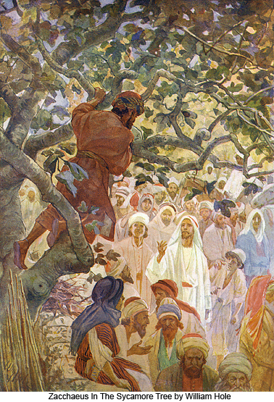 Zacchaeus In The Sycamore Tree by William Hole