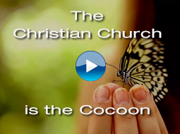 The Christian Church is the Cocoon