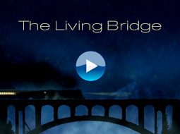 The 
Living Bridge