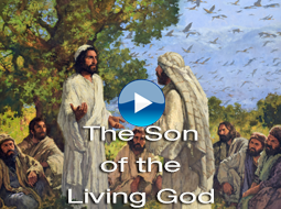 The Son of the Living God by Michael Dudash