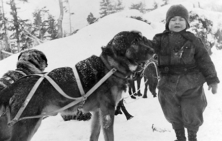 Child and Dogs [Library of Congress 99614296]