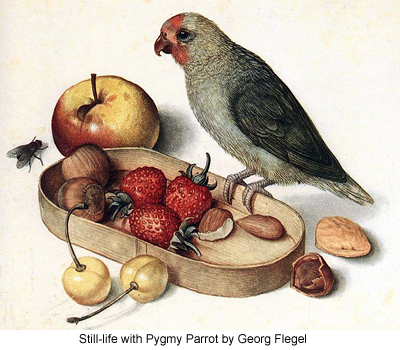 Still-life with Pygmy Parrot by Georg Flegel